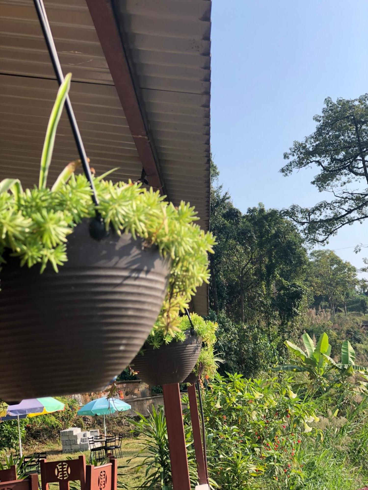 Into The Wild Pokhara Villa Kaski ภายนอก รูปภาพ